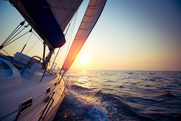 Arsenis sailing skipper